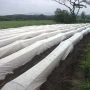 중국 정원 센터 야채 보호 덮개를 위한 비 길쌈된 식물 담요 제조자 지표 덮개 제조업체