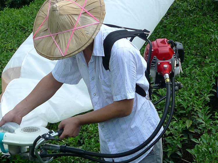 Kawasaki Tea Plucking Machine