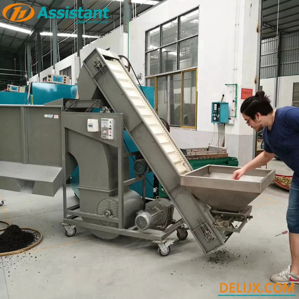 Cina Mesin Sortir Penampi Daun Teh Tipe 4 Berkelanjutan DL-6CFX-40 pabrikan