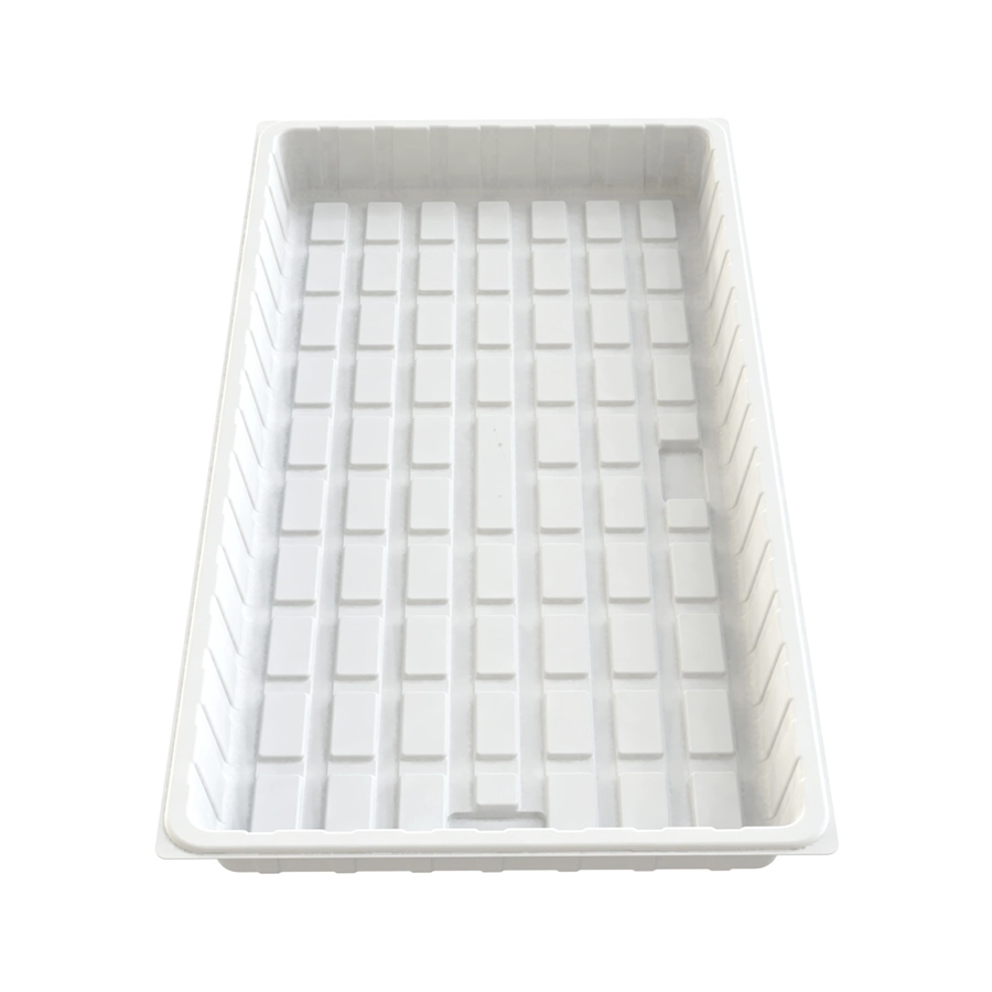 Khay thủy canh bằng nhựa ABS lớn 3 x 6 4x8 sâu tùy chỉnh cho rau diếp nhà kính