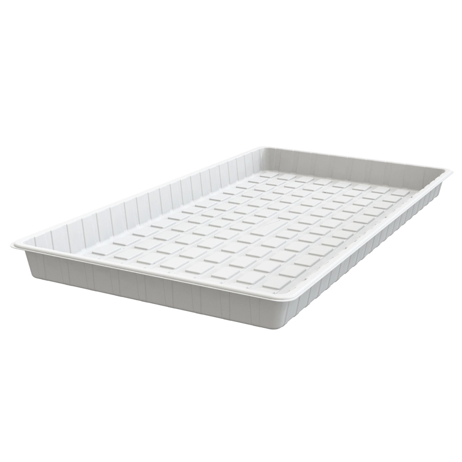 Khay thủy canh bằng nhựa ABS lớn 3 x 6 4x8 sâu tùy chỉnh cho rau diếp nhà kính