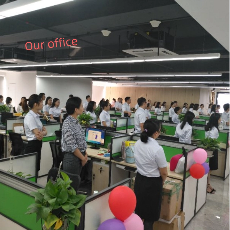 中国货运代理提供快速海运且优惠海运代理从中国到菲律宾