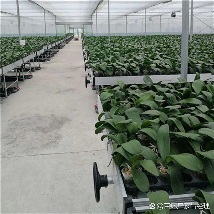 Advantages of Bench-Based Ebb-and-Flow Irrigation Systems