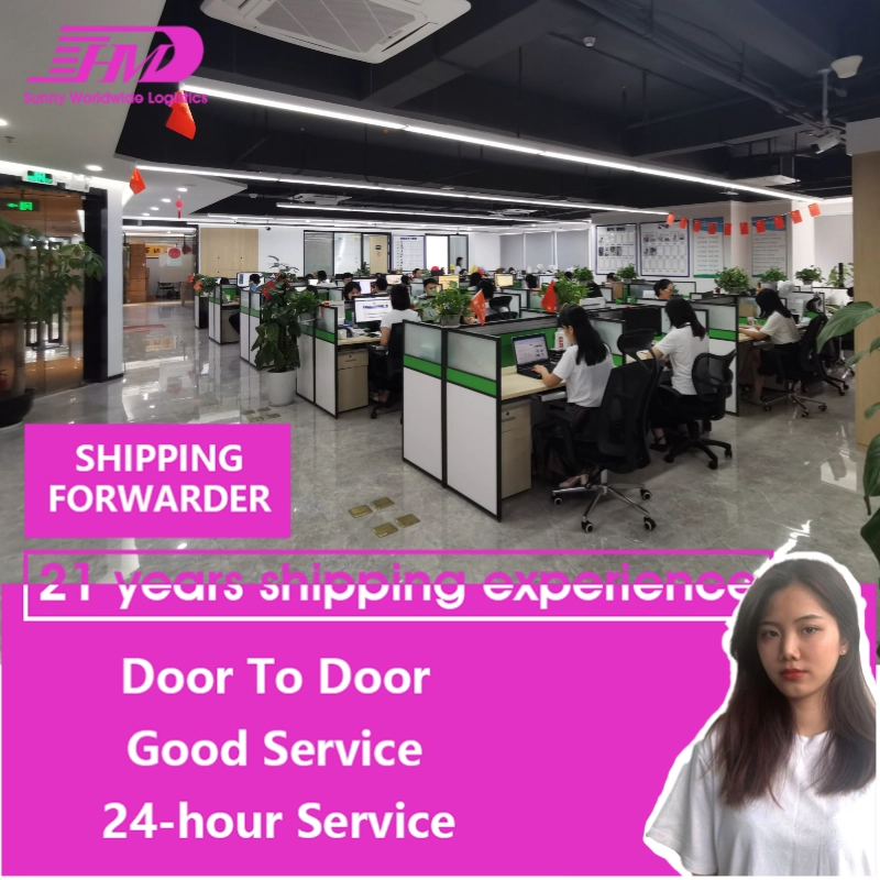 Cheap sea freight door to door shipping service from China to Jamaica