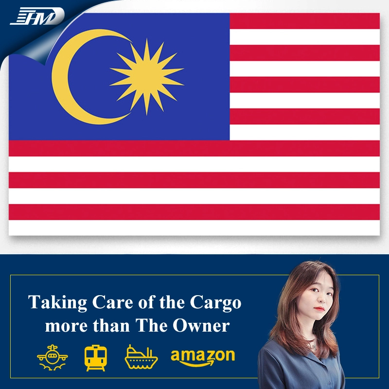 Professional China Forwarding Agent sea Freight Shipping Cost Rates China To Malaysia with DDP service