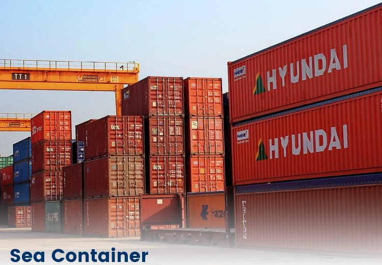 Sea Freight China to Europe DDU DDP Forwarding Agent