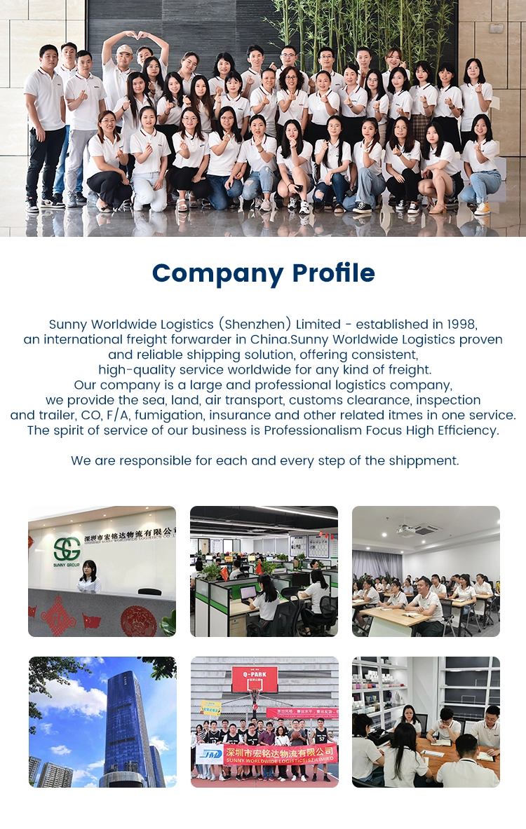 Sea Freight China to Europe DDU DDP Forwarding Agent