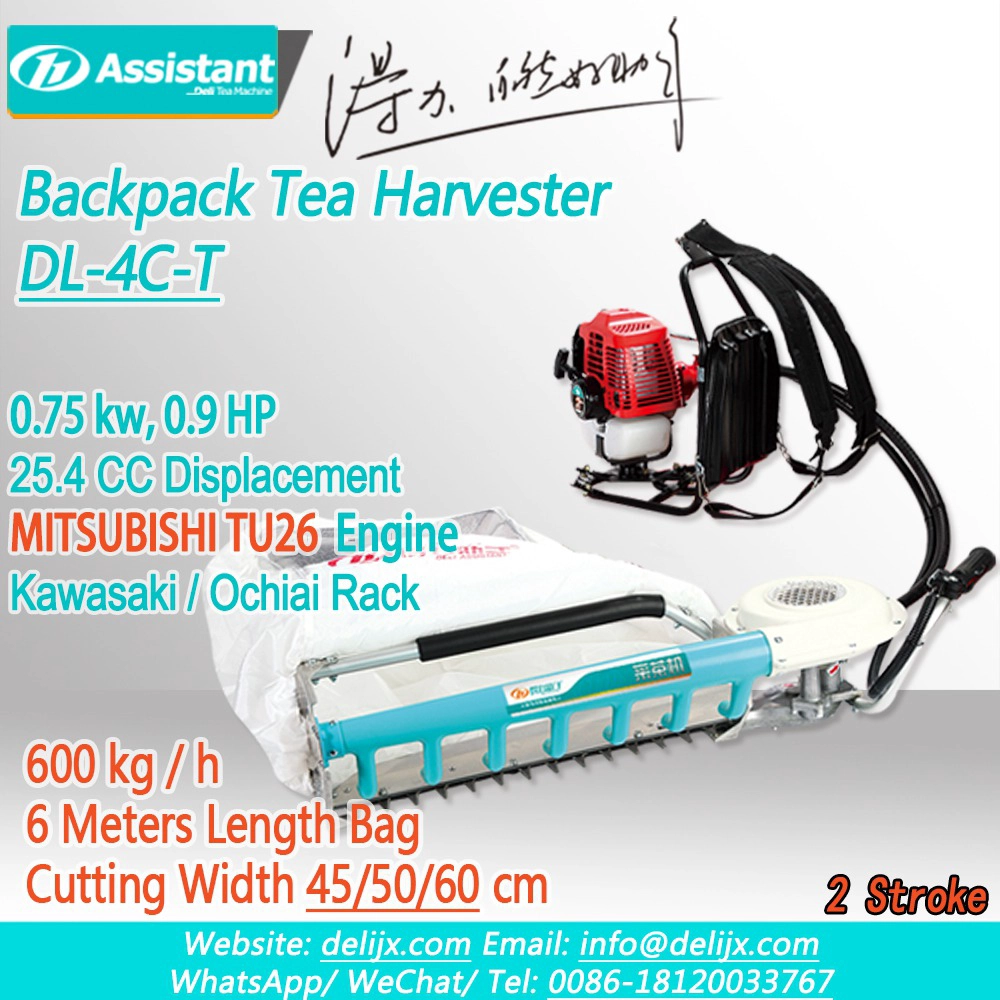 China Backpack Type Tea Leaf Plucking Machine With MITSUBISHI TU26 Engine DL-4C-T manufacturer Backpack Type Tea Leaf Plucking Machine With MITSUBISHI TU26 Engine DL-4C-T