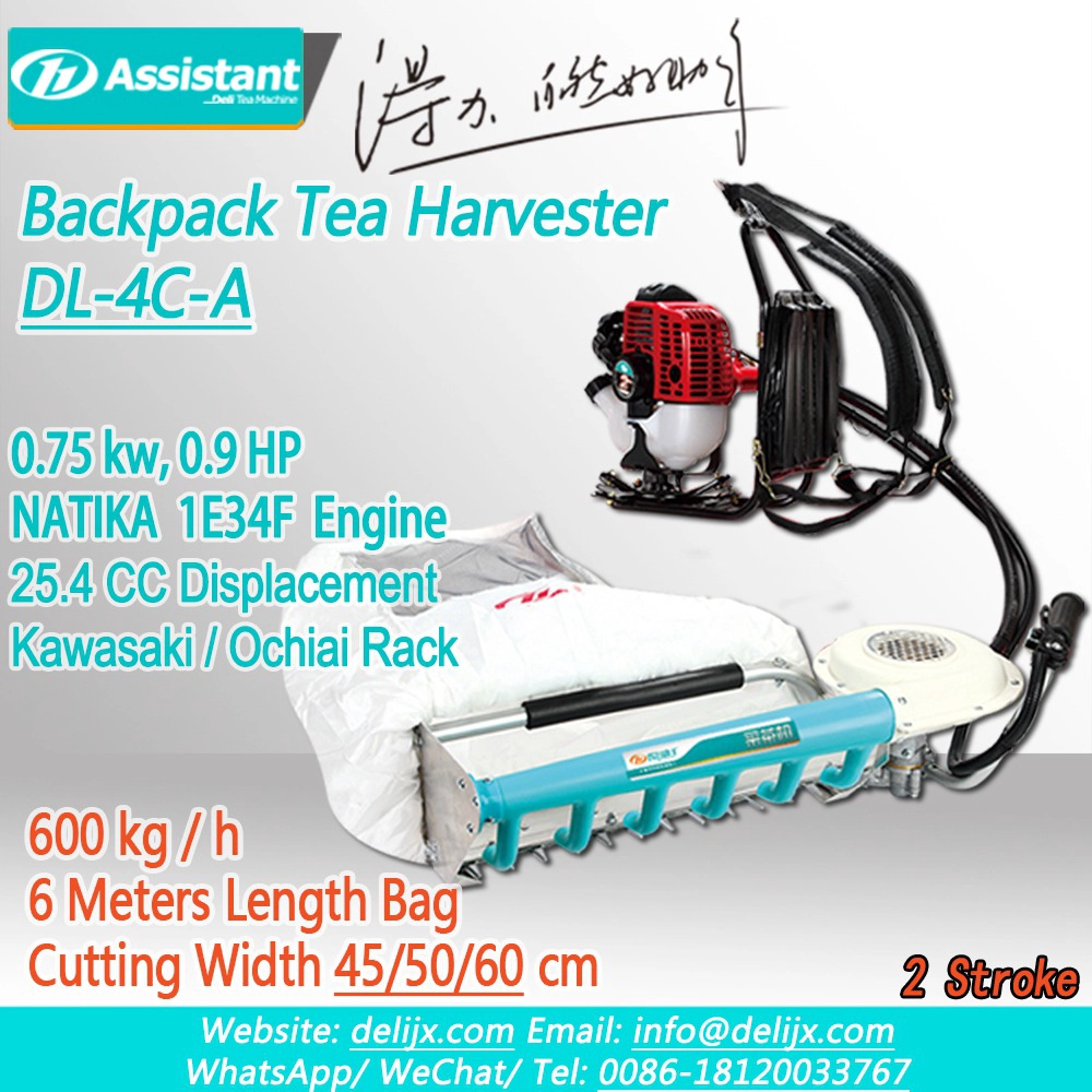 China NATIKA 2 Stroke Engine With 600mm Kawasaki Rack Tea Plucking Machine DL-4C-60A manufacturer NATIKA 2 Stroke Engine With 600mm Kawasaki Rack Tea Plucking Machine DL-4C-60A