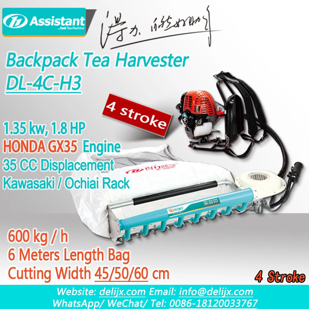 HONDA GX35 Engine With 600mm Cutting Width Ochiai Tea Harvester Machine DL-4C-H3