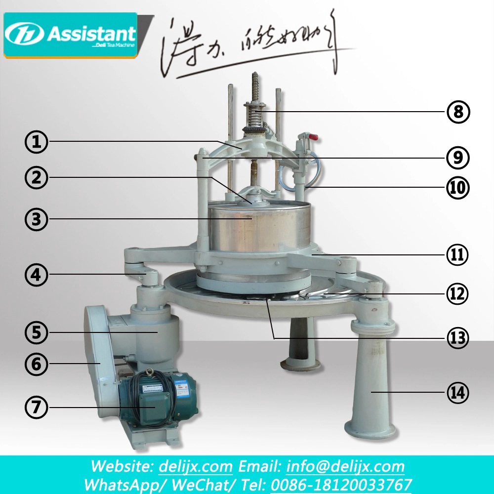 65cm Biggest Tea Rolling Machine With 2 Arms And  Stainless Steel Table DL-6CRT-65
