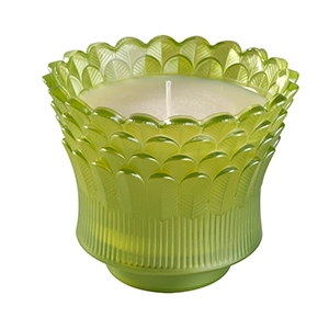 feather crown candle jar