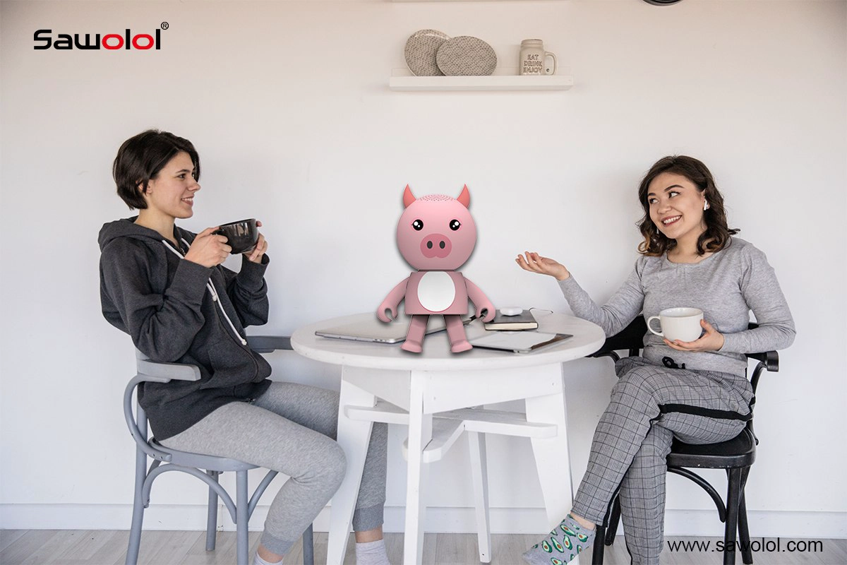 China my audio pet speaker supplier