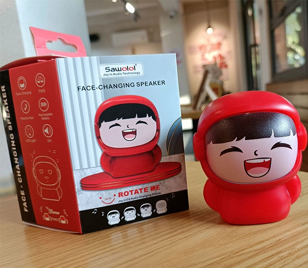 Face-Changing  Speaker