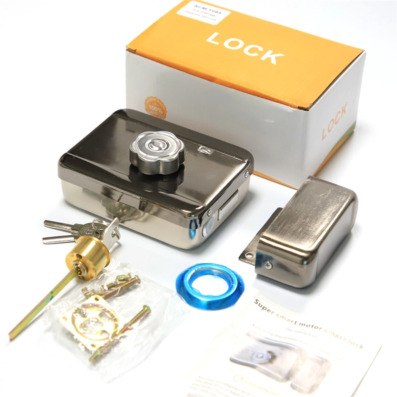 China Stainless Steel 12V Security smart door lock Magnetic Electronic Metal Door Gate Electric Door Rim Lock manufacturer