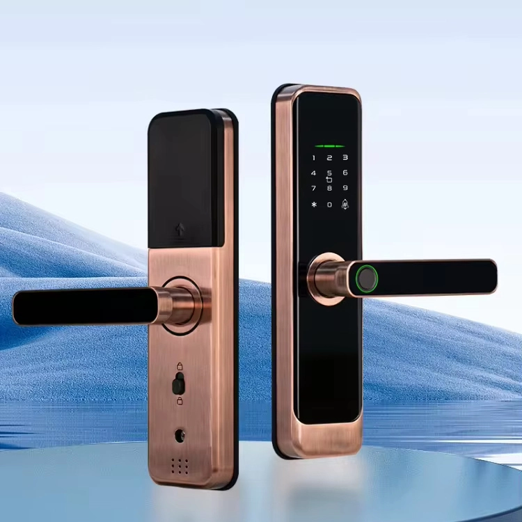 Chiny New Arrival inteligentny zamek do drzwi karta z odciskiem palca Tuya Wifi TTlock aplikacja kamera wizjer zamki do drzwi kocie oko producent