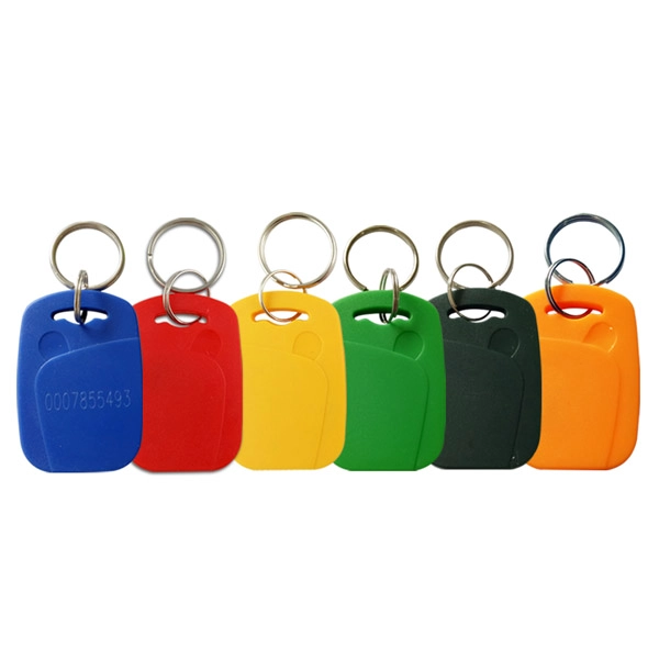 China Customizable ABS RFID Key Fob Tag 125kHz ABS Keychain for Secure Door Access and Keyless Entry Systems manufacturer