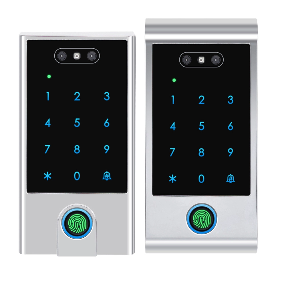 China Smart AI Face -Erkennungszeit Besucherzahlen, wasserdichtes Ttlock WiFi Bluetooth Digitaler Tastatur NFC -Karte Zugangskontrolle mit Türklingeln Hersteller
