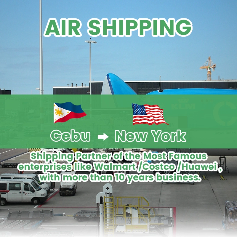DDP service Sea freight from Philippines to USA cheap shipping agent in China ocean cargo logistics company
