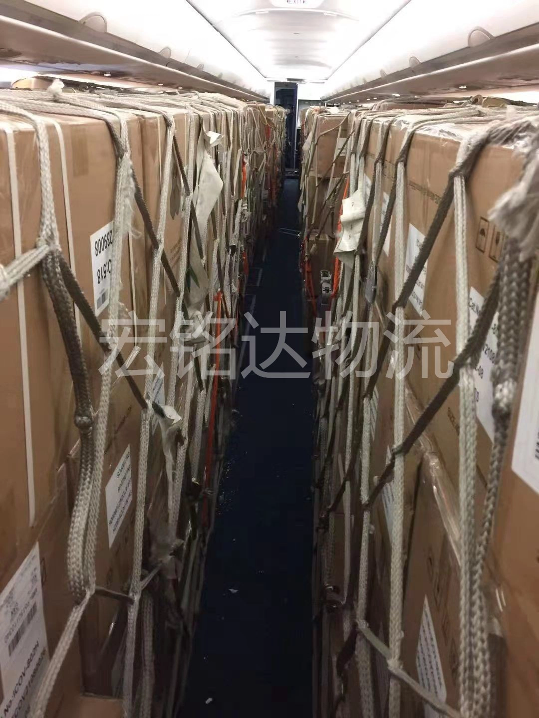 Charter Flight Air Cargo Training in Sunny Worldwide Logistics