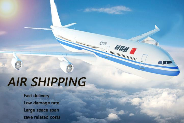 sunny worldwide logistics enhances brand image: strict checks to prevent imitation