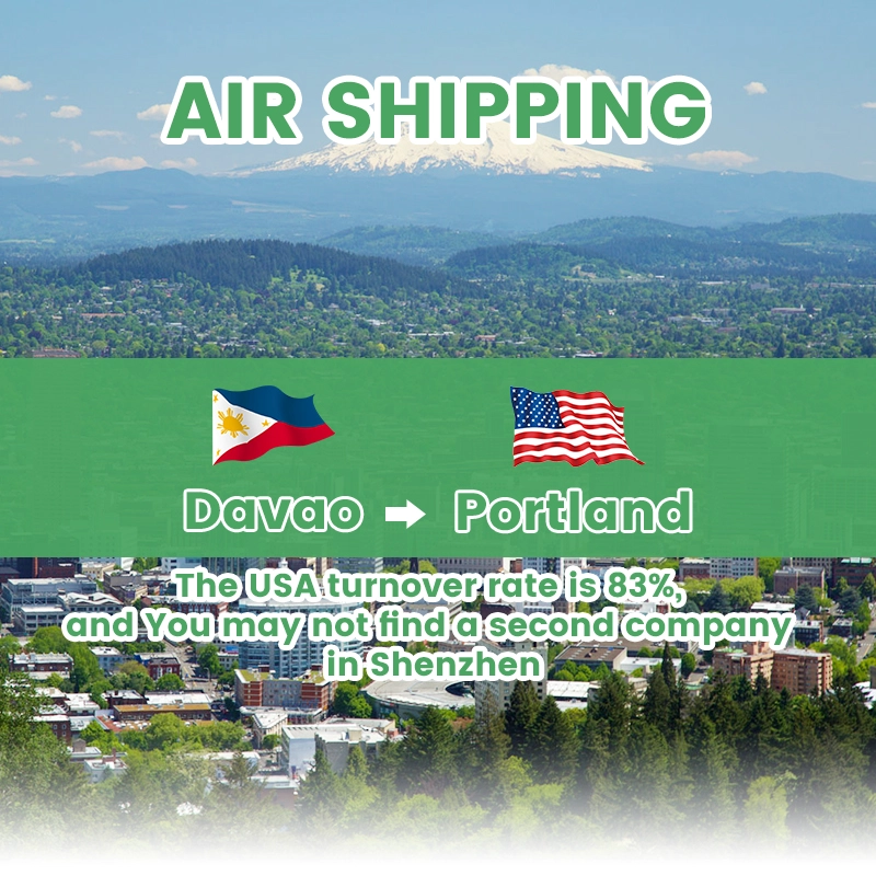 Shipping agent Philippines to the United States sea freight DDP DDU door to door service