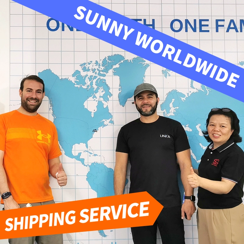 Professional freight forwarder China to Philippines LCL FCL Sea Air Shipping door to door services sensitive goods