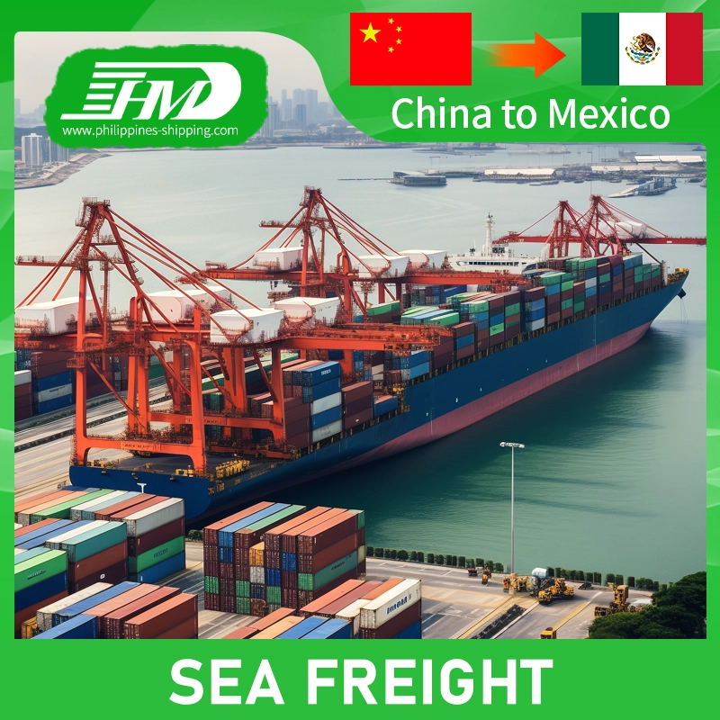 LCL Sea Freight Forwarder DDP Mexico Comprehensive Shipping Company LCL Sea Freight Forwarder DDwith Trucking Services