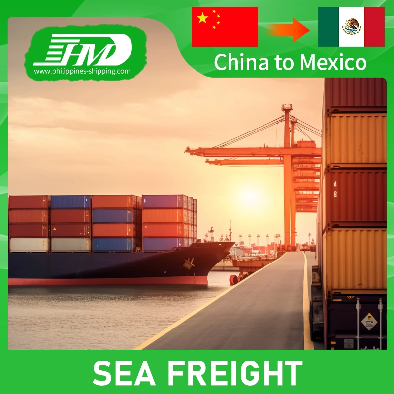 European DDP Sea Shipping Service Sea Freight Forwarder From China to USA UK Europe Canada Australia Shipping Logistics