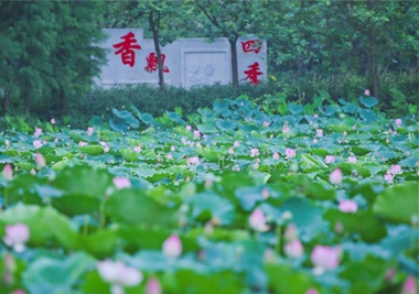 China Andar de bicicleta para Lotus Pond luar Wetland Park fabricante