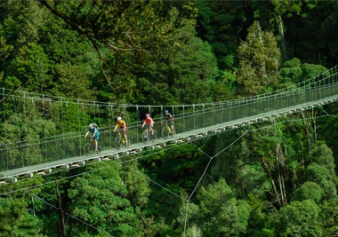 China Quatro Nova Zelândia ciclovias charme fabricante