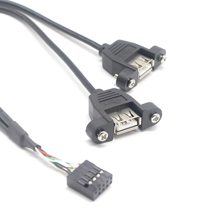 China Dual USB 2.0 A Female to Dupont 10pin Female Panel Mount Cable with Screw Locking manufacturer