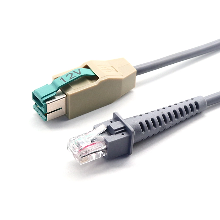 带 RJ50 10P10C 连接器的 12V 供电 USB 延长线