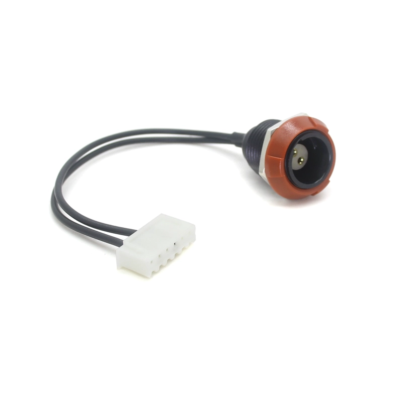 Factory Custom Lemo 2p Plastic vrouwelijke connector naar JST 5P terminal Fysiotherapiekabel voor tientallen machine