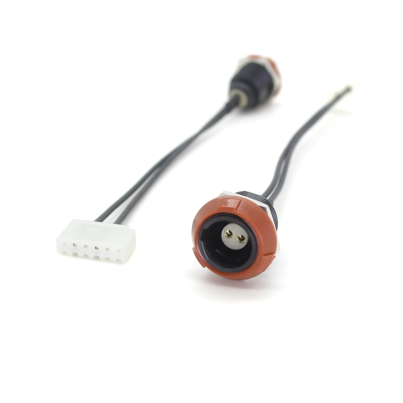 Factory Custom Lemo 2p Plastic vrouwelijke connector naar JST 5P terminal Fysiotherapiekabel voor tientallen machine