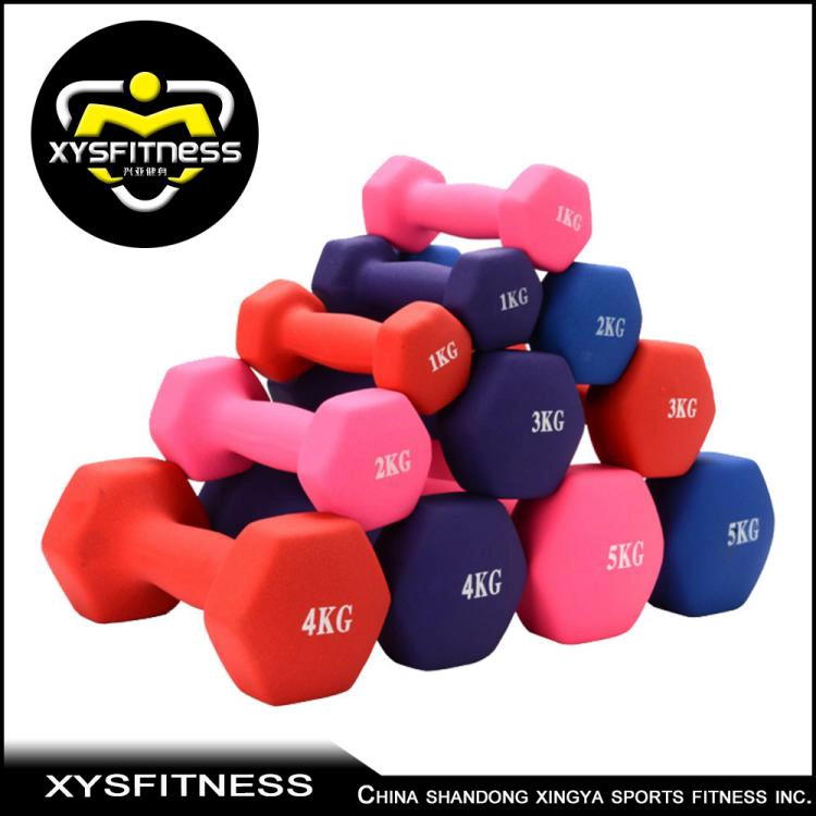Welches ist das am häufigsten verwendete Fitnessgerät?