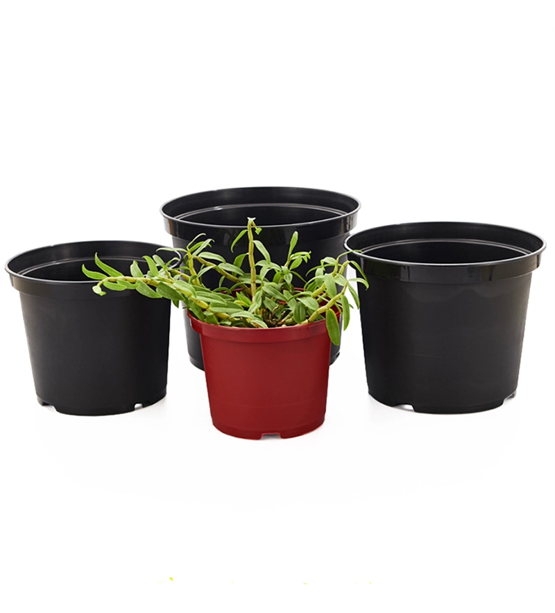 Pot de gallon