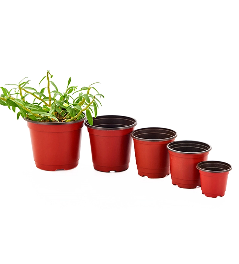 Pot Double Couleur