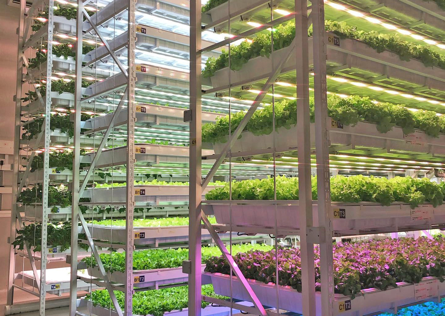 Projek Ladang Bandar kami di Sri Lanka Colombo