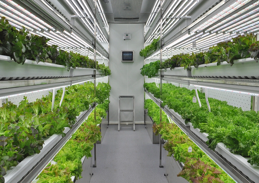 Container Plant Factory - Vegetable Solution in Harsh Environment