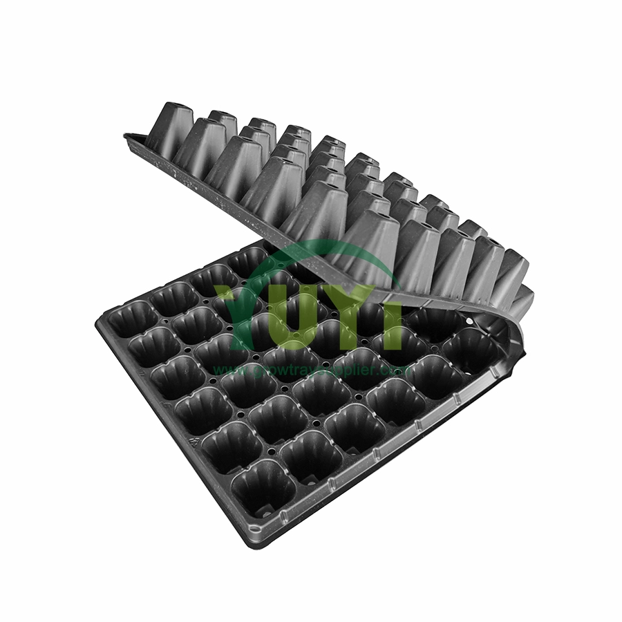 Bon marché 50 72 104 105 128 200 cellules bouchon en plastique polystyrène noir graine démarrage grandir plateau de Germination