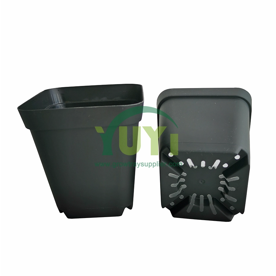 Plantes de Style coréen, blanc, noir, rouge, vert, carrés, petits Pots succulents en plastique, vente en gros