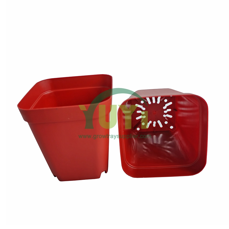 Plantes de Style coréen, blanc, noir, rouge, vert, carrés, petits Pots succulents en plastique, vente en gros