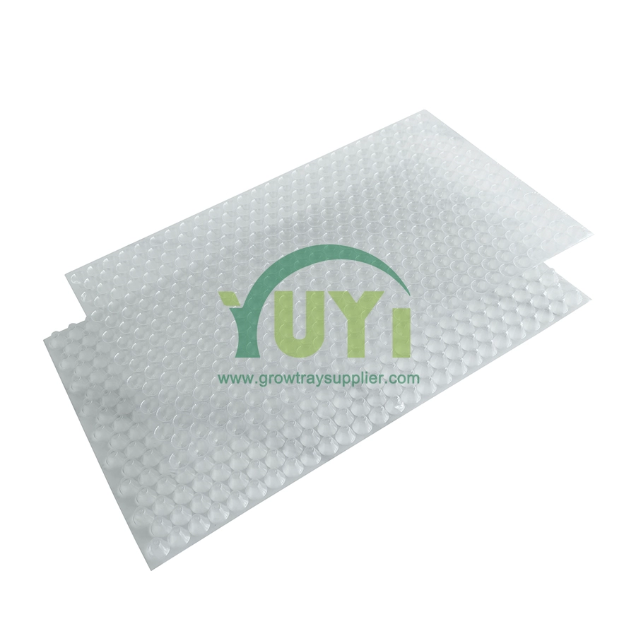 Bandeja plástica reutilizable resistente a los rayos UV de la semilla del paracaídas del plántula del arroz con cáscara del ANIMAL DOMÉSTICO que lanza los colores personalizados