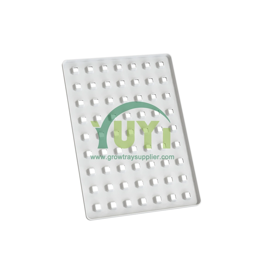 Bandeja hidropônica EBB e mesa de fluxo multicamadas de crescimento vertical de plástico ABS personalizado para plantas
