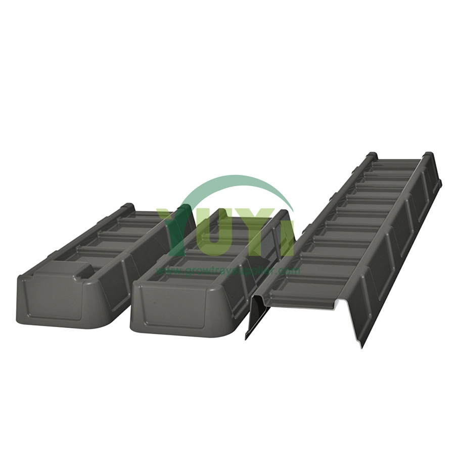 269mm chiều rộng abs đen abs nhựa NFT Grow Gutter cho nông nghiệp trồng rau diếp trồng rau diếp