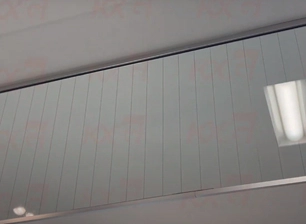 Application Ng Wire Mesh Glass