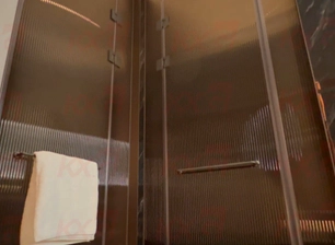 Pattern Glass Shower Door