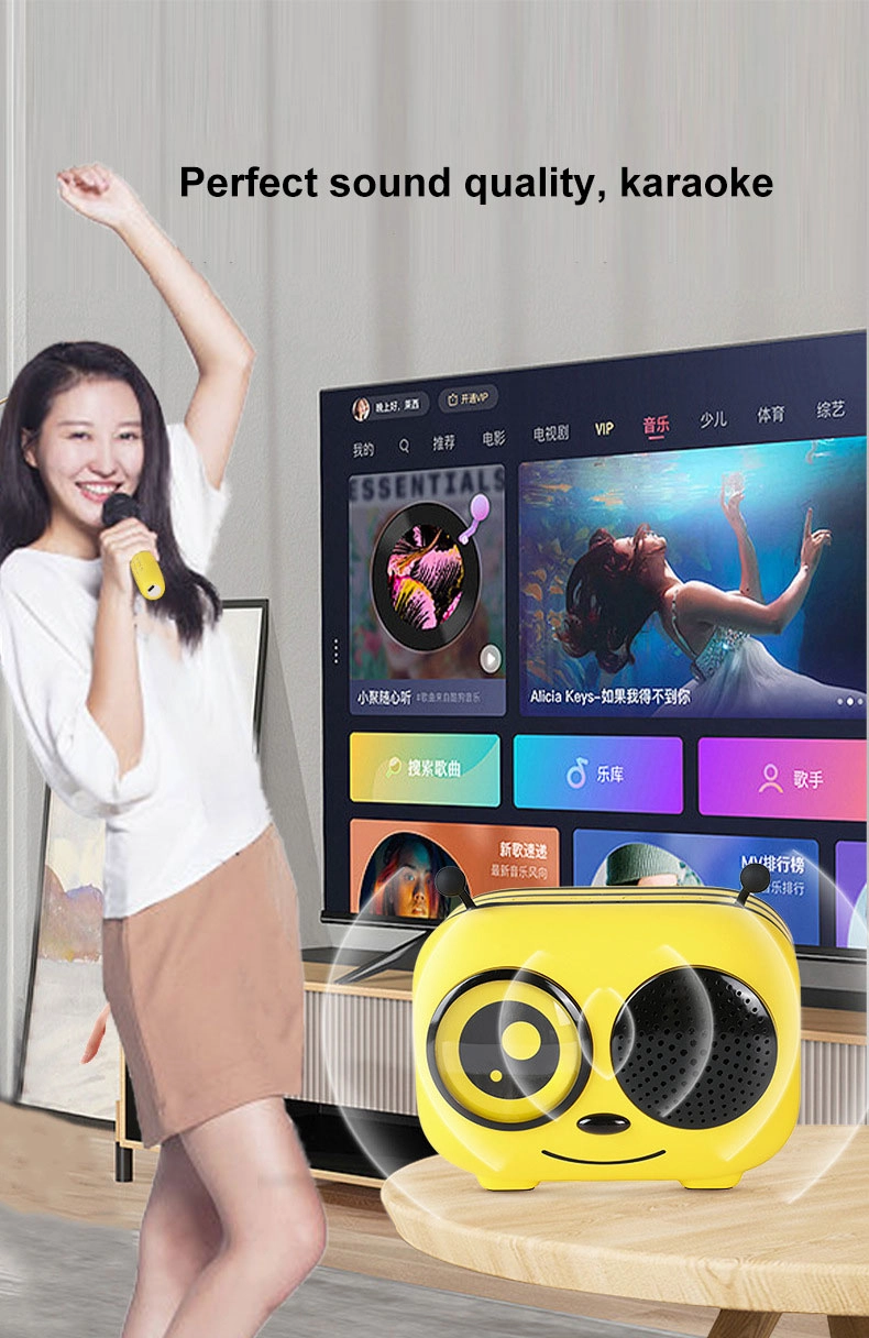 带卡拉 OK 功能的便携式麦克风音箱的兴起：个人娱乐的一场革命