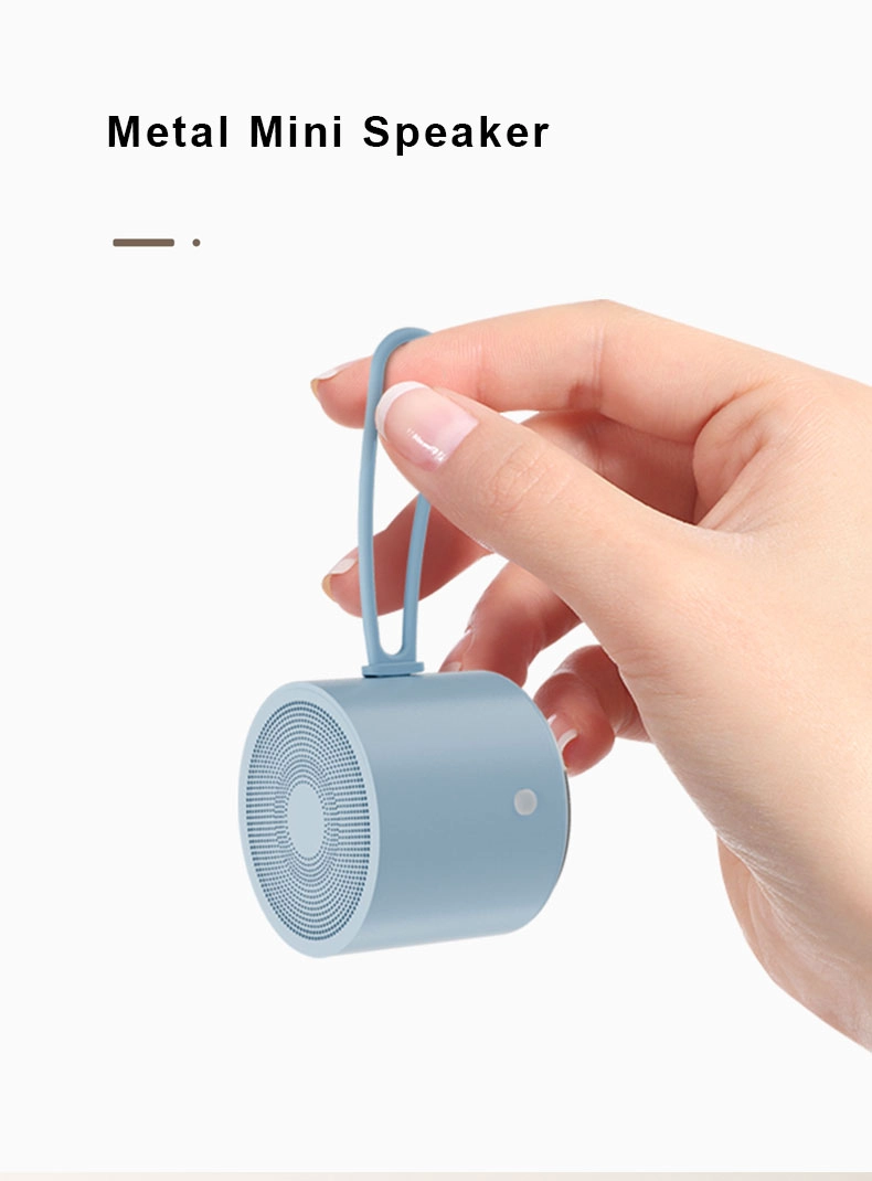 Metal Mini Speaker: ขุมพลังขนาดกะทัดรัดสำหรับความต้องการด้านเสียงของคุณ